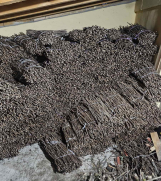 Batajnica - NA PRODAJU: Isečena Loza 1 KLASE za Kalemljenje (Kober BB)