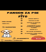 Batajnica - Pansion za pse 